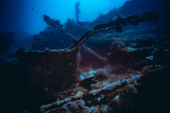 USAT Liberty shipwreck in Tulamben, pile of steel and coral growing on.