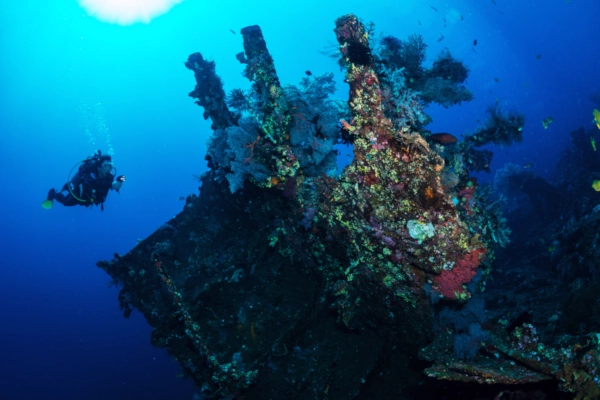 USAT LIBERTY Shipwreck in Tulamben, view of coral growing near the engine area with diver on background