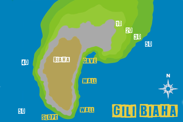 Gili Biaha dive site map, with depth, topography, slope, cave and wall - Bali diving dive site map