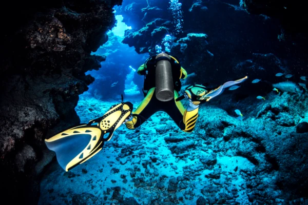 Diver finn kicking in small area