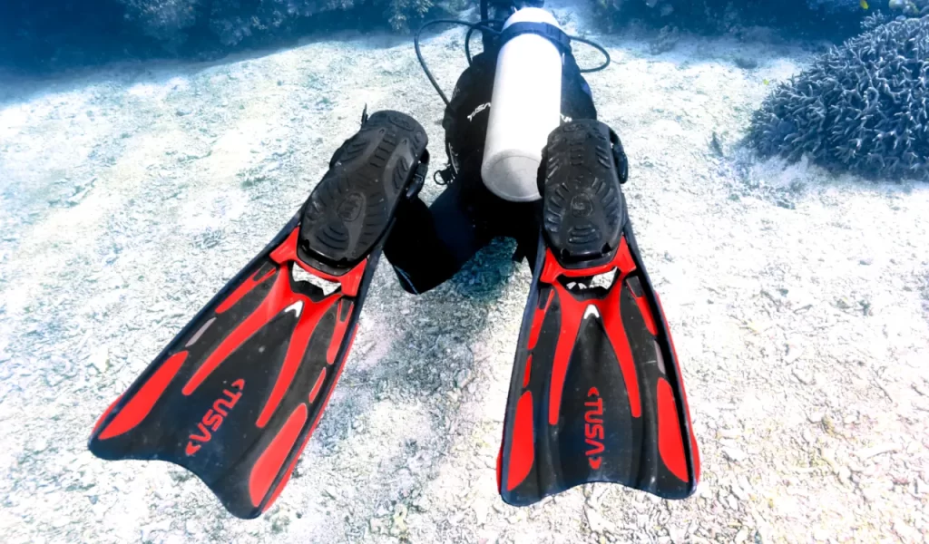 Modify_frogkick_finns_diver_underwater_picture