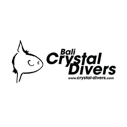 Bali Crystal Divers one the best dive center in Bali