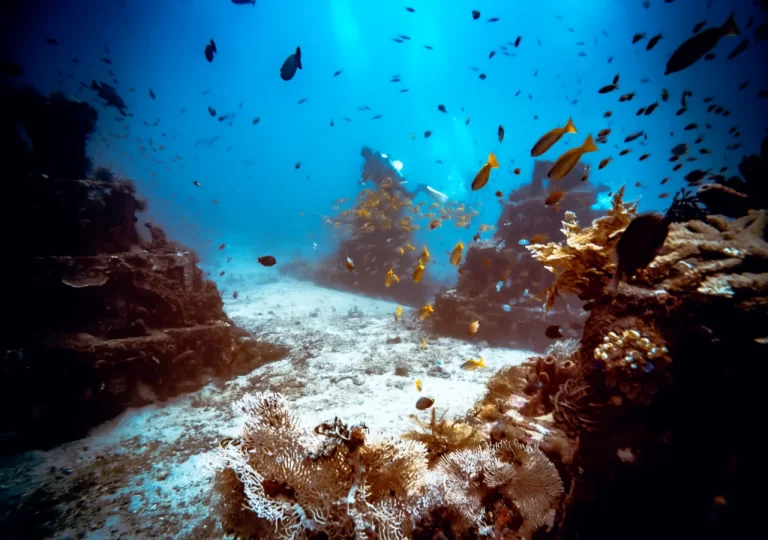Wide angle vue of underwater pyramids in Amed dive site - Bali