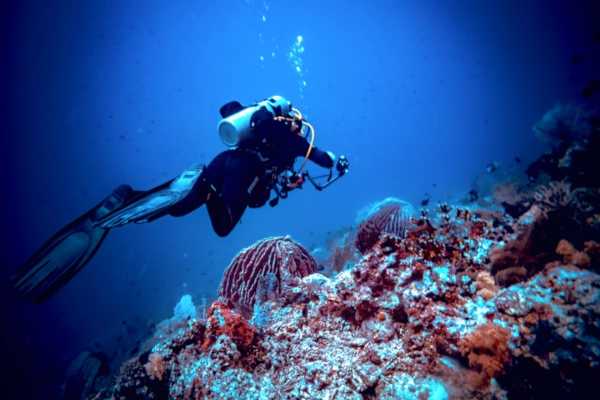 Deep blue dive site photo in Amed