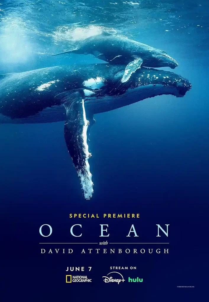David Attenbourough Ocean 2025 is a new feature-length documentary special produced by Silverback about the health of the world's oceans.