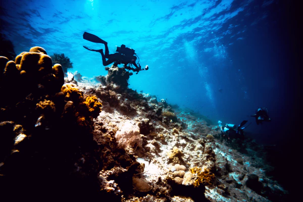 Diver_starting_on_top_of_menjangan_slope_with_wide_angle_camera_set_up