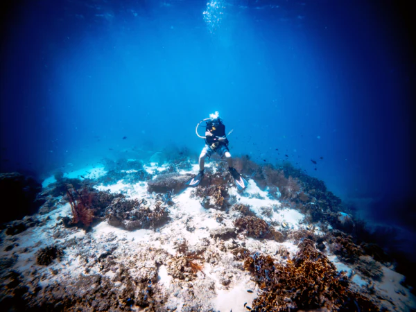 Diver on Sandy slope dive site in Menjangan Island - Bali