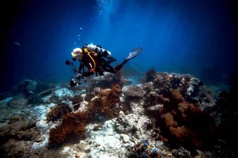 Scuba diver exploring a coral reef covered in sponge in Bali